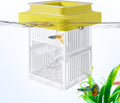 Floating Aquarium Breeding Box with Hatchery Box and Isolation Box