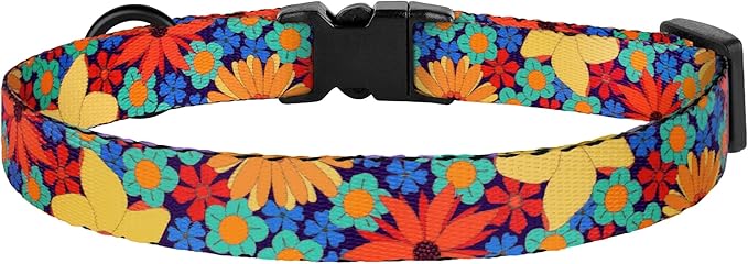 Cat Collars 2 Pack - Image 8