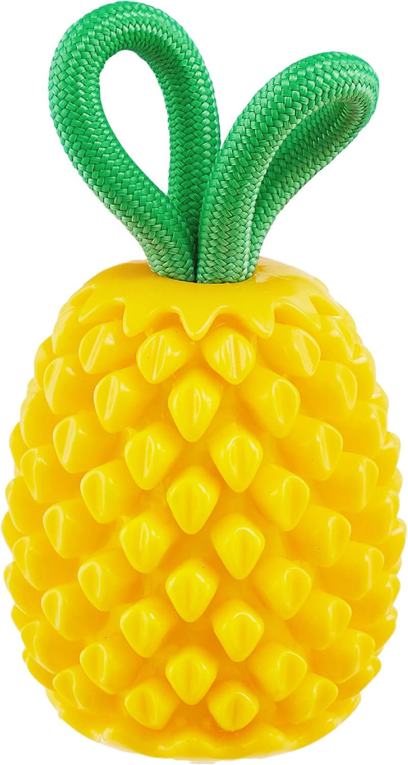 Outward Hound Dental Pineapple Chew & Treat Stuffer Dog Toy for All Breeds