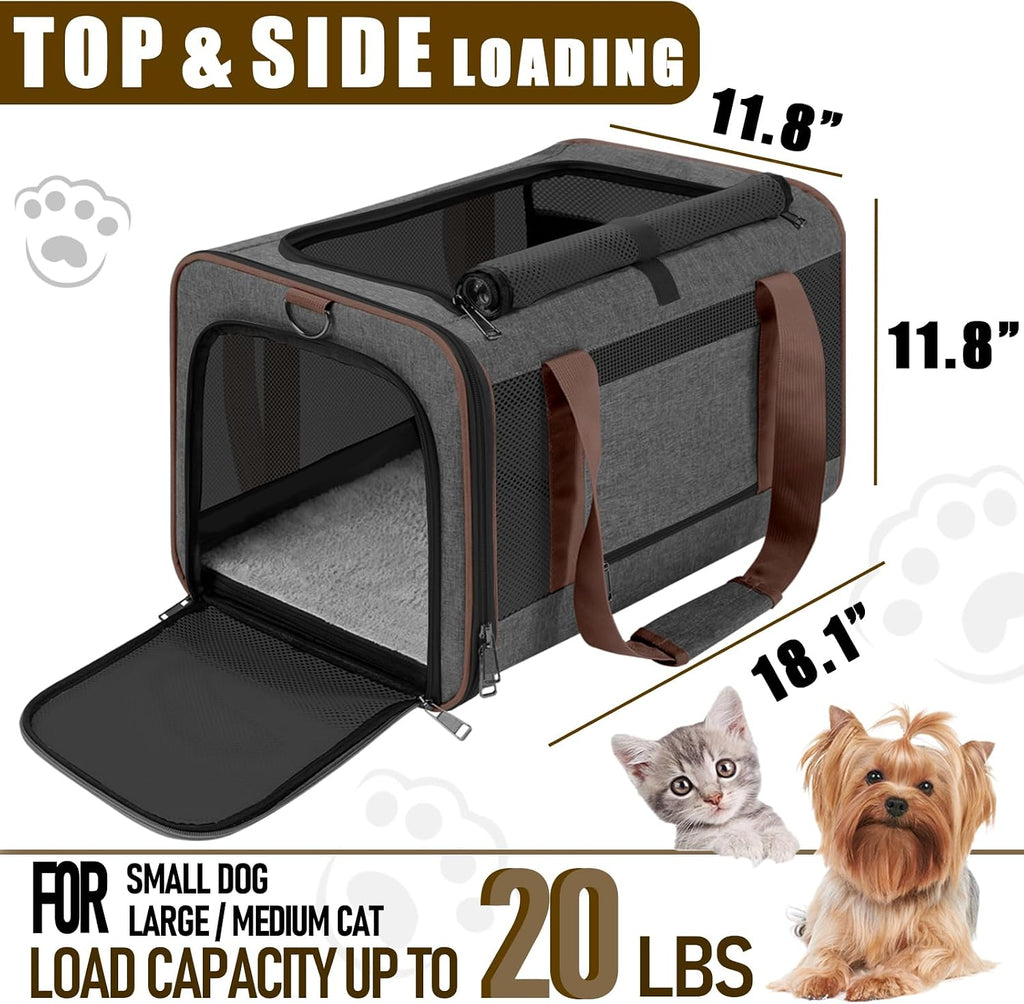 GAPZER Large Cat Carrier Soft, Collapsible Travel Pet Carry Bag, Small Dogs