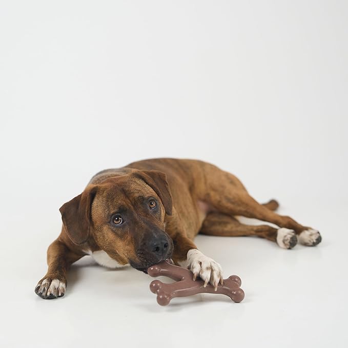 SPOT Bam-Bones Wishbone - Image 6
