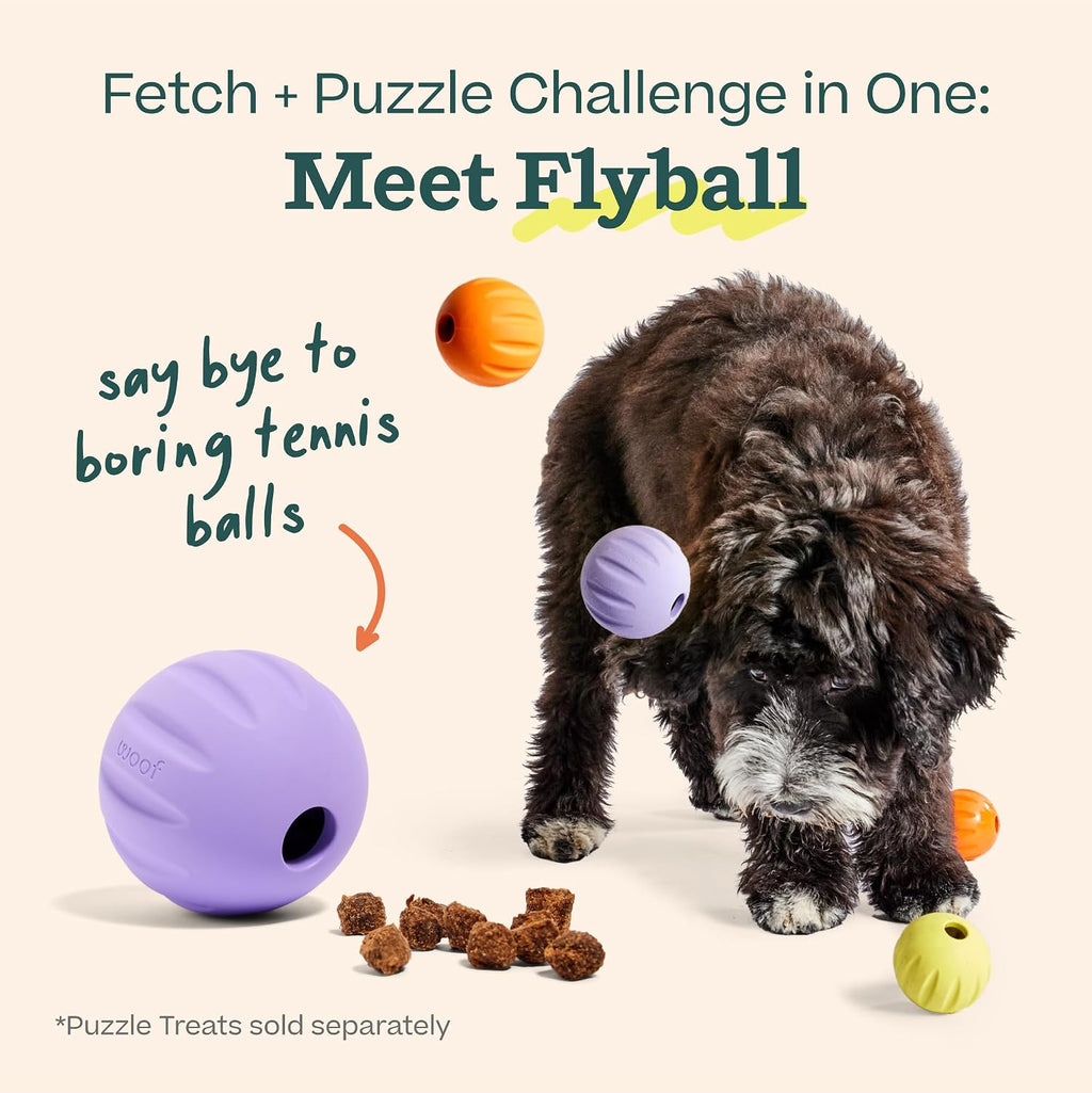 WOOF Flyball Fetch Ball & Dog Treat Dispenser Toy, 3-Pack