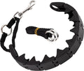 Ram-Pro Dog Training Pinch Collar Triple Crown Gentle Effective/No Barking Control for All Breeds