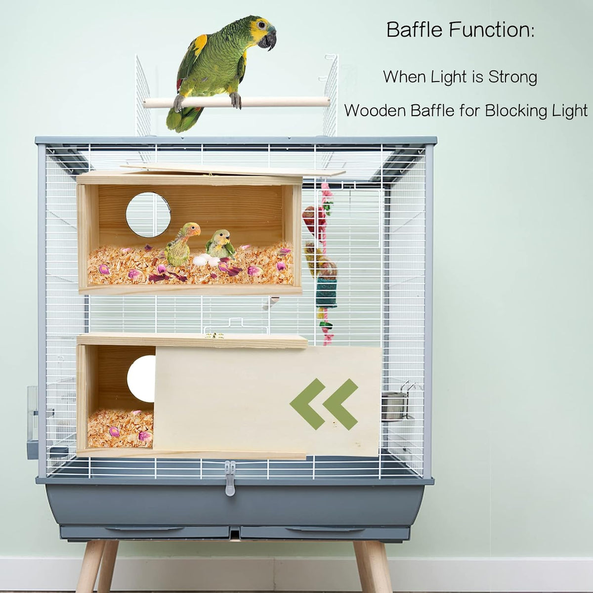 Parakeet Nesting Box Cockatiel Nesting Natural Pine Bird Nest Bird Breeding Box House Acrylic Transparent Bird Box with Detachable Wooden Board for Lovebirds Cockatiel Budgie Conure Parrot L