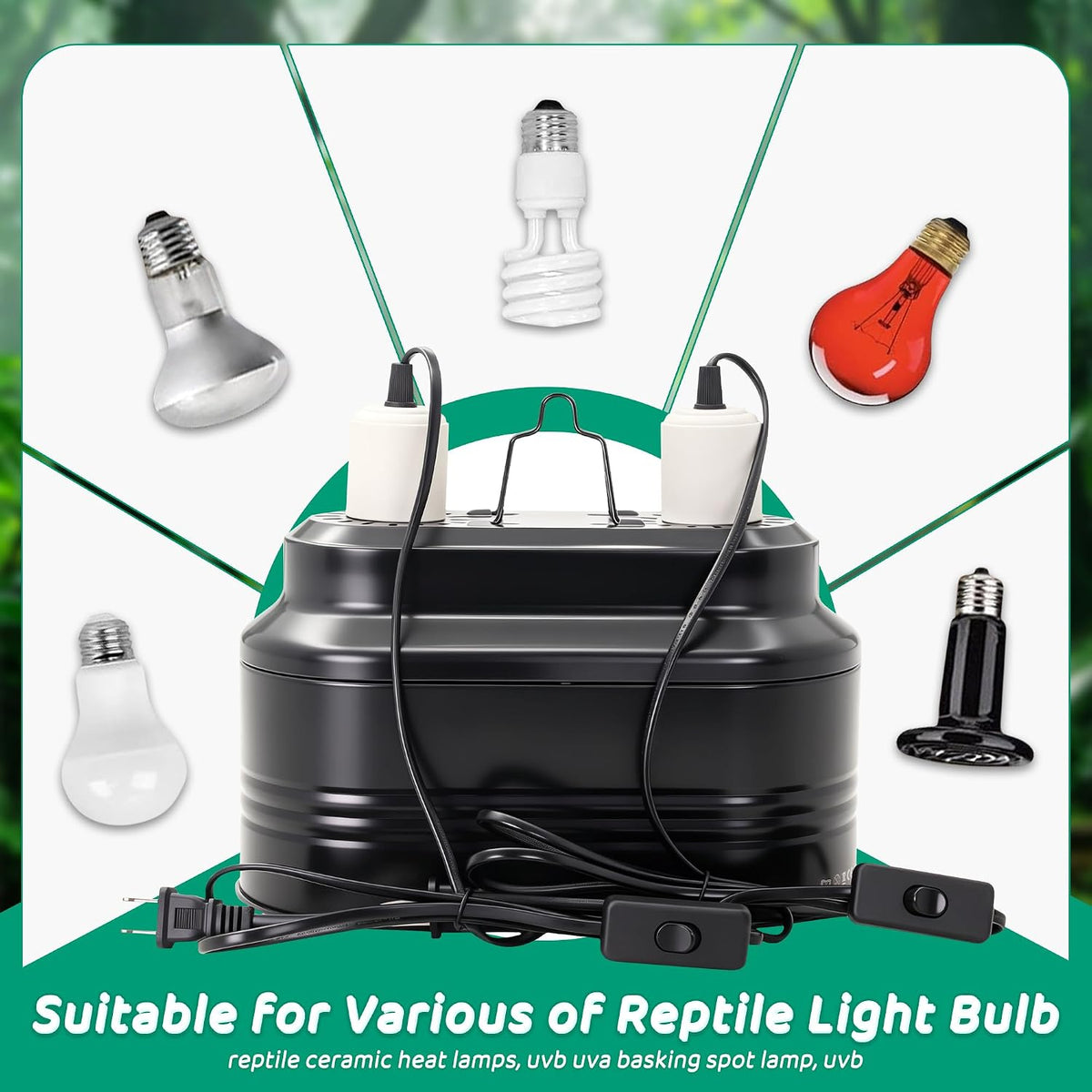 Dual Reptile Light Fixture with Independent Switches
