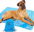 INSPECTOR TAIL Self Cooling & Traveling Mat + Free String Bag Pack/Washable & by InspectorTail