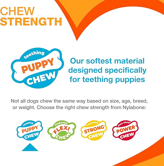 Nylabone Puppy Chew Blue Textured Teething Bone - Image 5