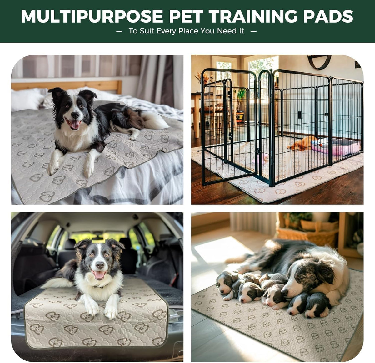 FXW Washable Pee Pads for Dogs, Super Absorbent, 39" Square, 2 Packs