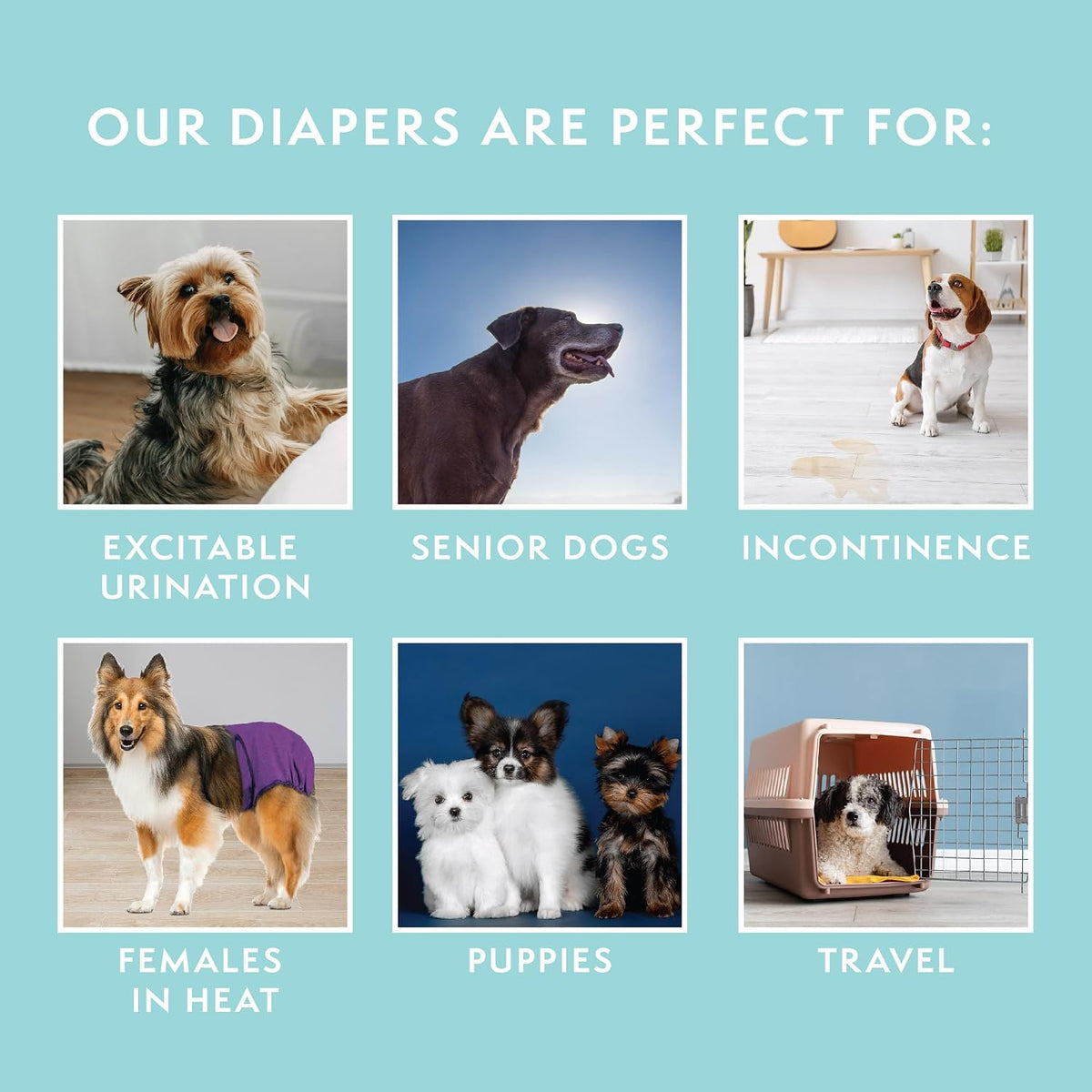 Simple Solution Washable Female Dog Diaper, Reusable Dog Diaper, M, 1 Count