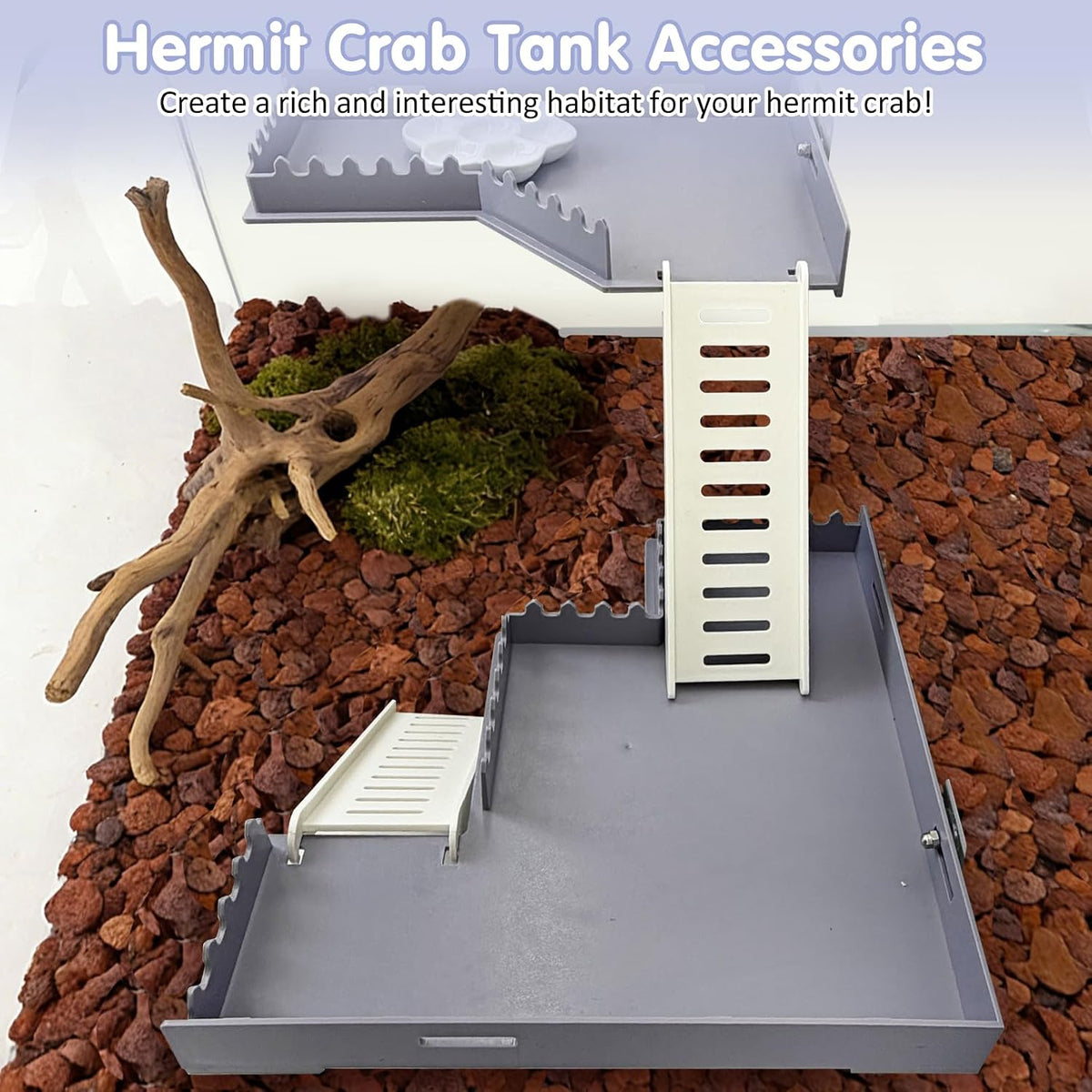 Hermit Crab Climbing Platform Habitat Tank Accessories