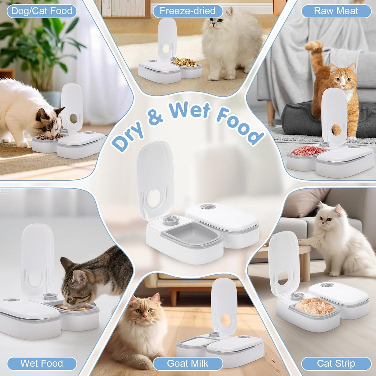 Automatic Cat Feeder 2 Meal, Large Capacity Dog and Cat Feeder, Detachable Pet Food Dispenser, 48H Timed Wet Dry Automatic Pet Feeder for Cat and Dog