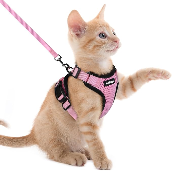 rabbitgoo Cat Harness and Leash by rabbitgoo