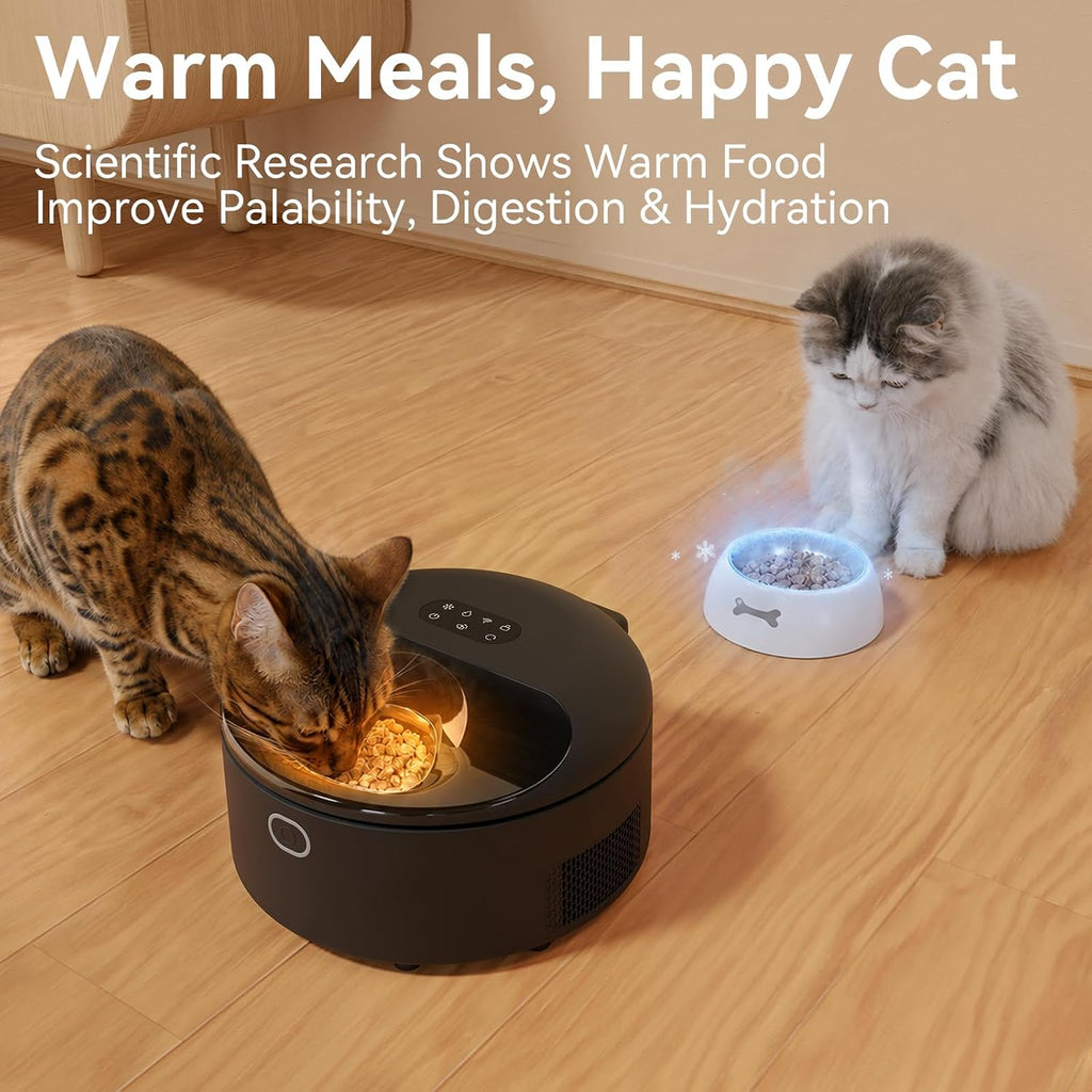 Wet Food Automatic Cat Feeder with Cooling&Heating, 5 Meals, Black