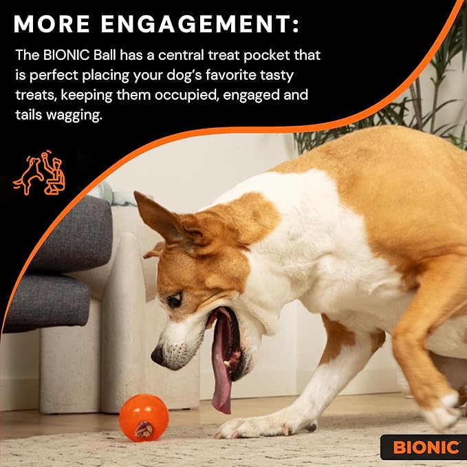 BIONIC Ball Dog Toy, Small - Image 5
