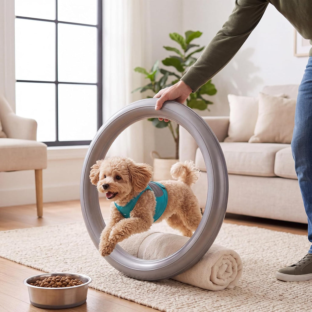 Dog Agility Jump Ring for Small Dog Inflatable Exercise Gear