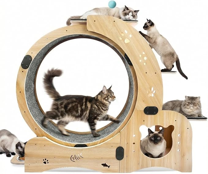 6-in-1 Cat Exercise Wheel by Unknown
