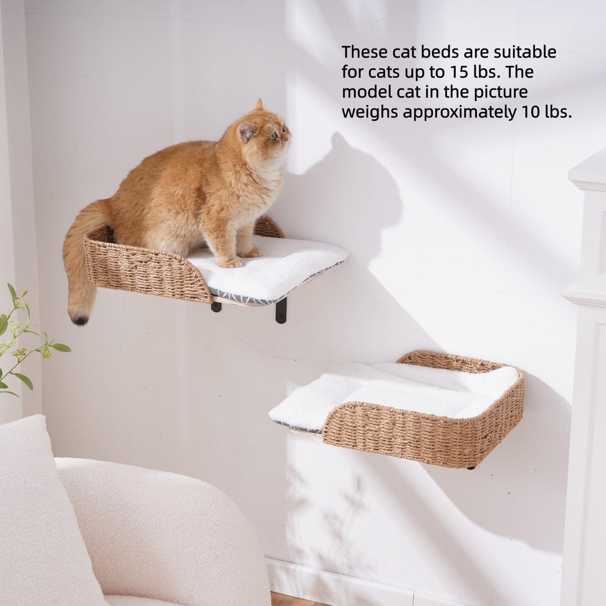 SHENGOCASE 2-Pack Wall Mounted Cat Bed Perch