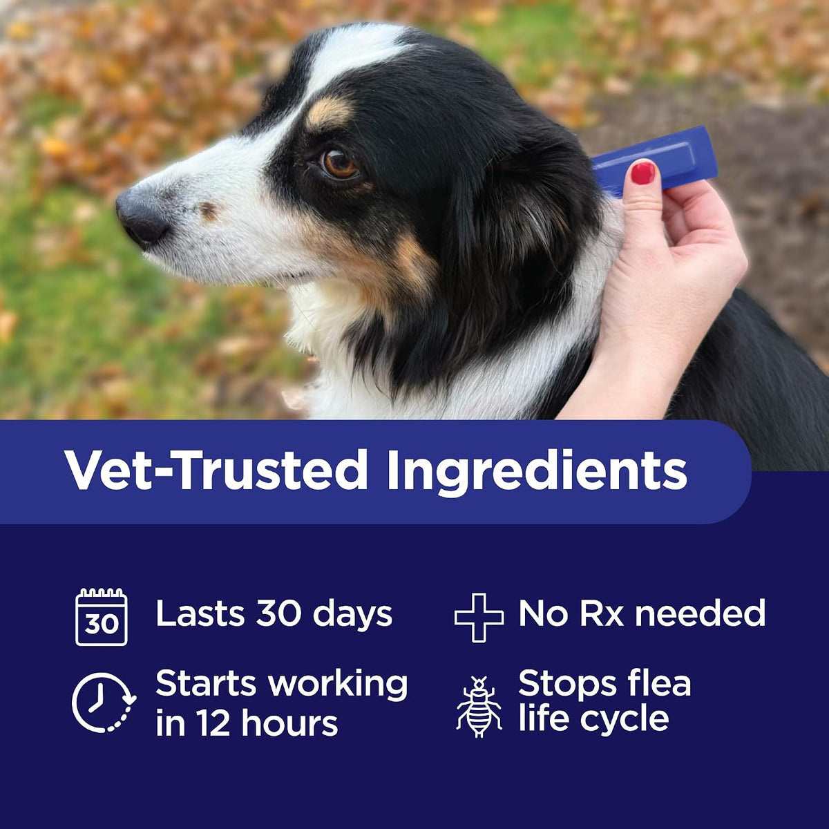 TevraPet Activate II Flea and Tick Prevention for Extra Large Dogs 55+ lbs