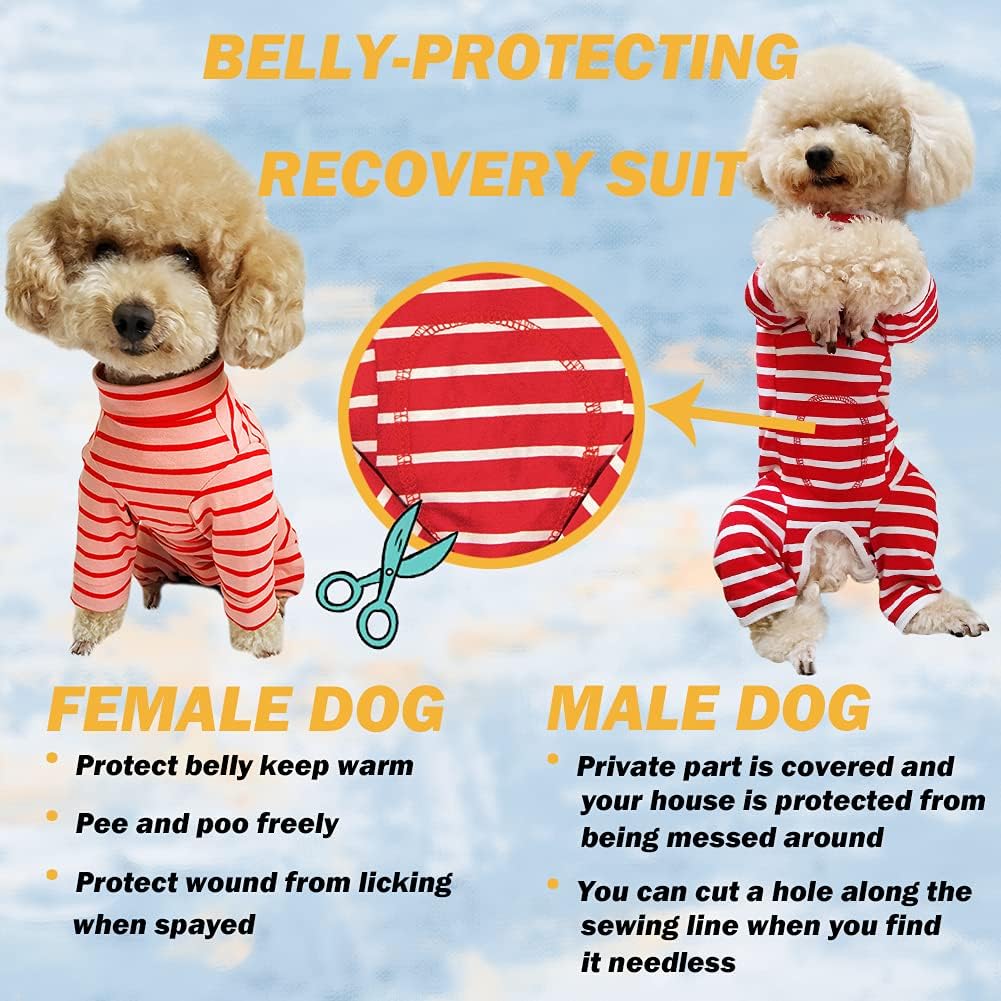 Dog’s Recovery Suit Post Surgery Shirt for Puppy, Full Coverage Dog's Bodysuit Wound Protective Surgical Clothes for Small and Medium Pets (Yellow Black Stripe-m)