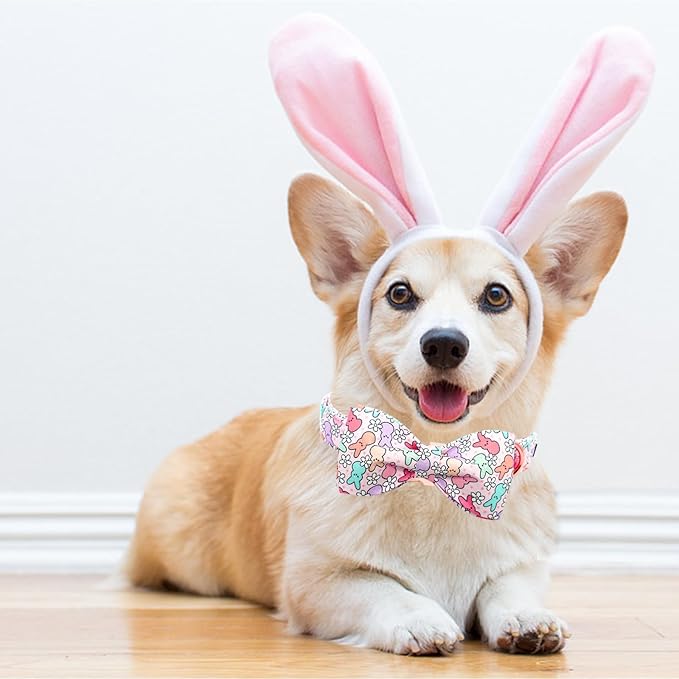 Lionheart Glory Easter Day Dog Collar - Image 4