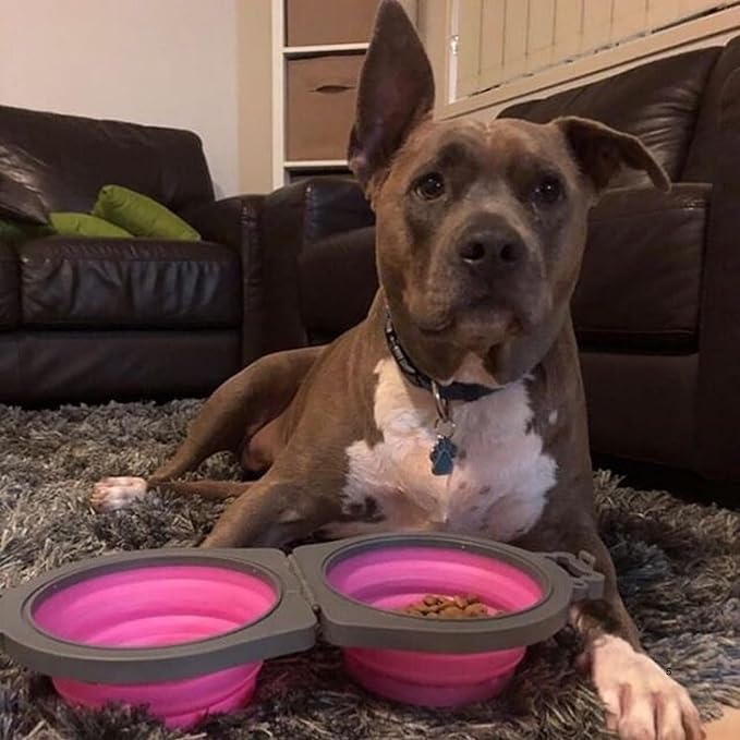 Loving Pets - Bella Roma Double Diner Portable Travel Dog Bowls Collapsible - Image 5