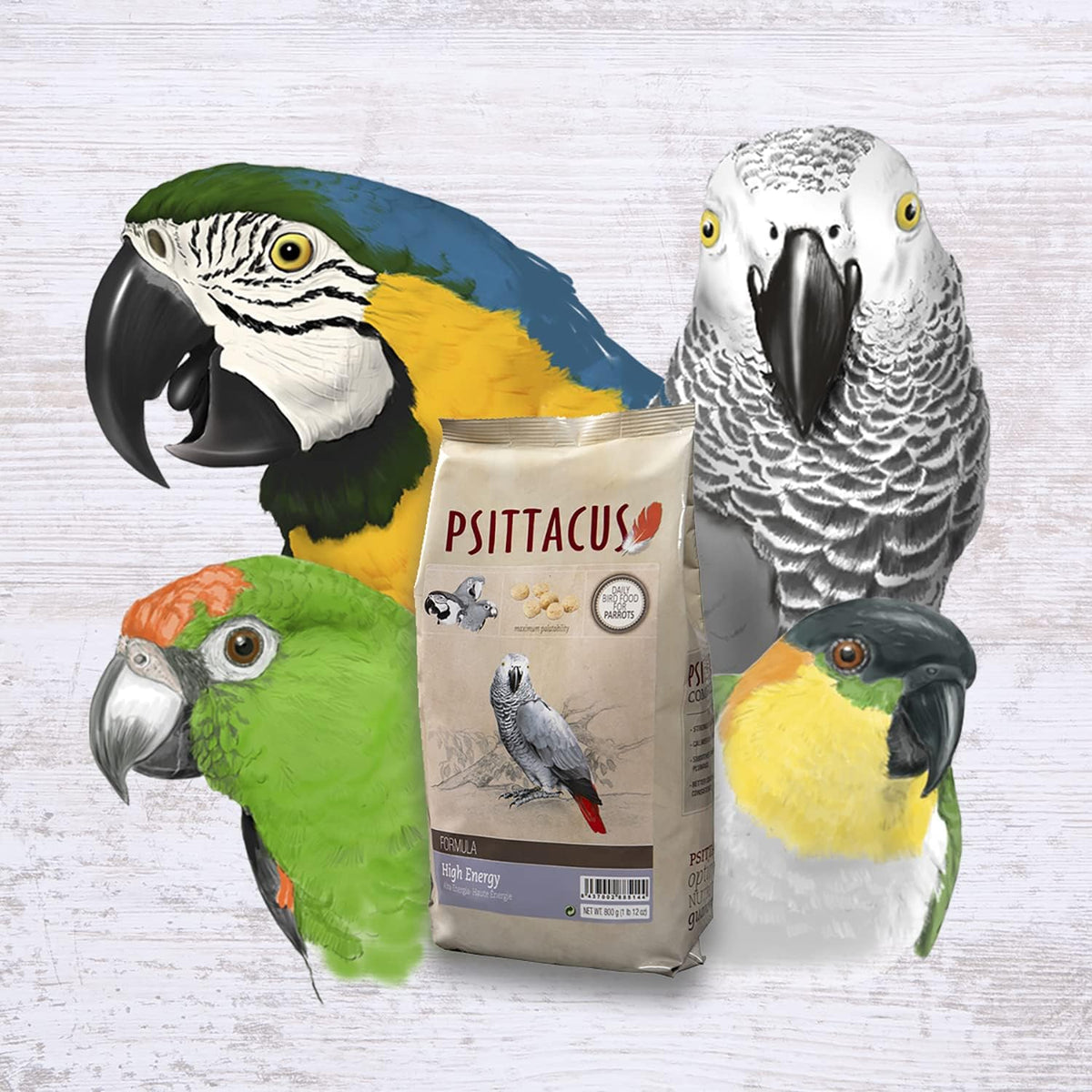 Psittacus High Energy 1.76 lb | Complete Pellet Diet for African Greys, Macaws and Other African Parrots | Premium Food for Birds, 100% Non-GMO