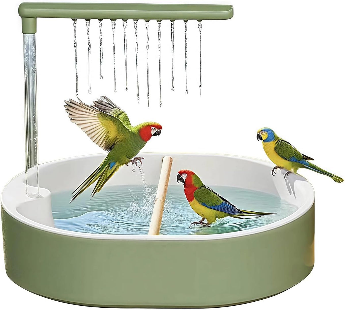 Automatic Bird Shower with Pump, for Parakeets