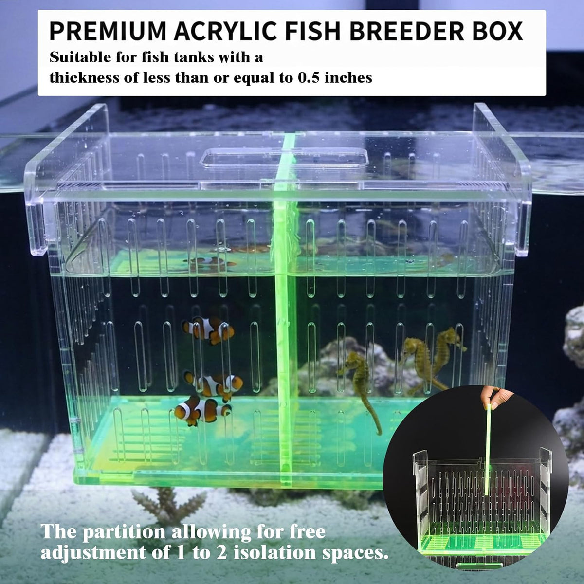 Aquarium Breeder Box for Fish Tank, Acrylic Isolation Hatchery with Divider