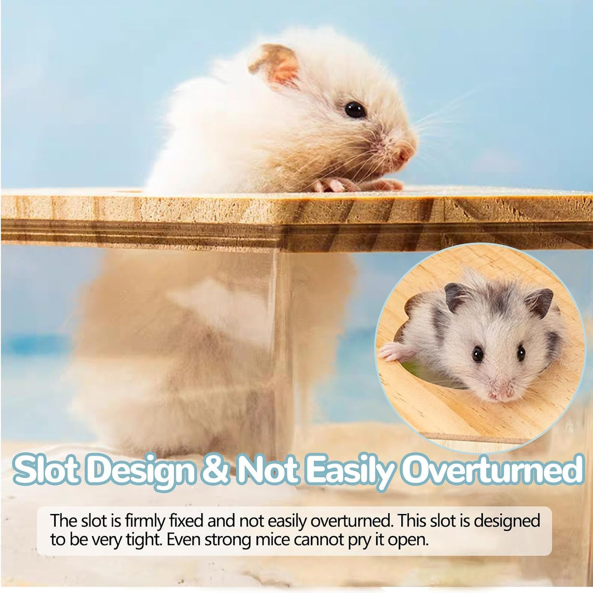 Hamster Sand Bath Box,Transparent Small Animal Bathroom & Digging Container