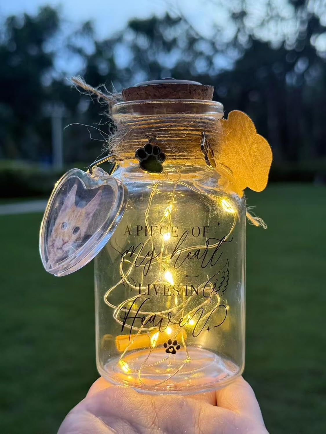 LINGYUAN Pet Memorial Jar with LED Lights, A Piece of My Heart in Heaven