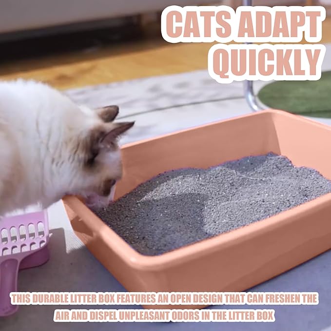 Small Litter Box, Plastic Kitten Litter Box, 13.9 x 9.8 x 3 Inch Open Litter Box - Image 4