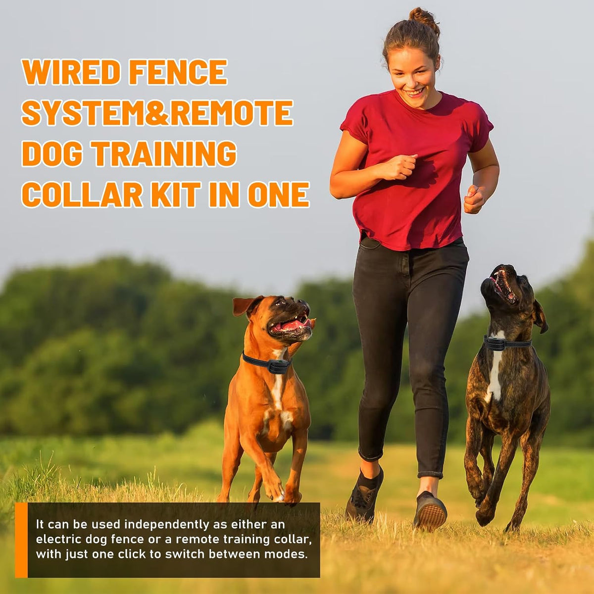 2-in-1 Wired Dog Fence & Remote Training, 650 Ft Wire, 1 Pet