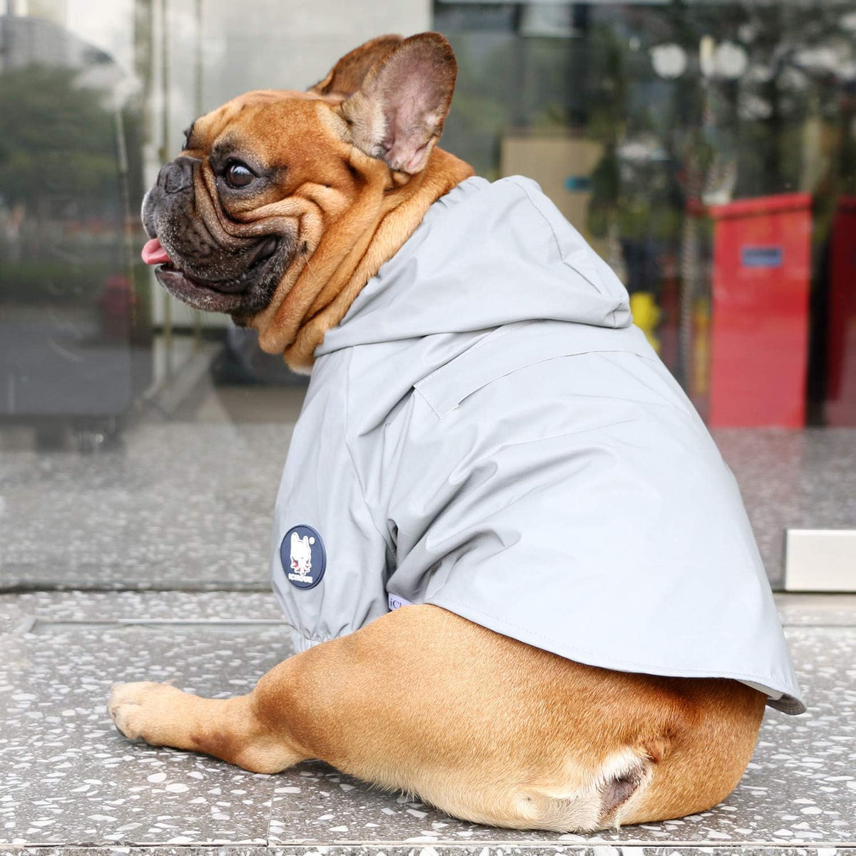 iChoue Dog Cold Weather Coats Reflective Safety Jackets Water Resistant Raincoats All Made Up of High Reflection Fabric Keep Dogs Visible for French English Bulldog Bully Pitbull - Silvery, Small