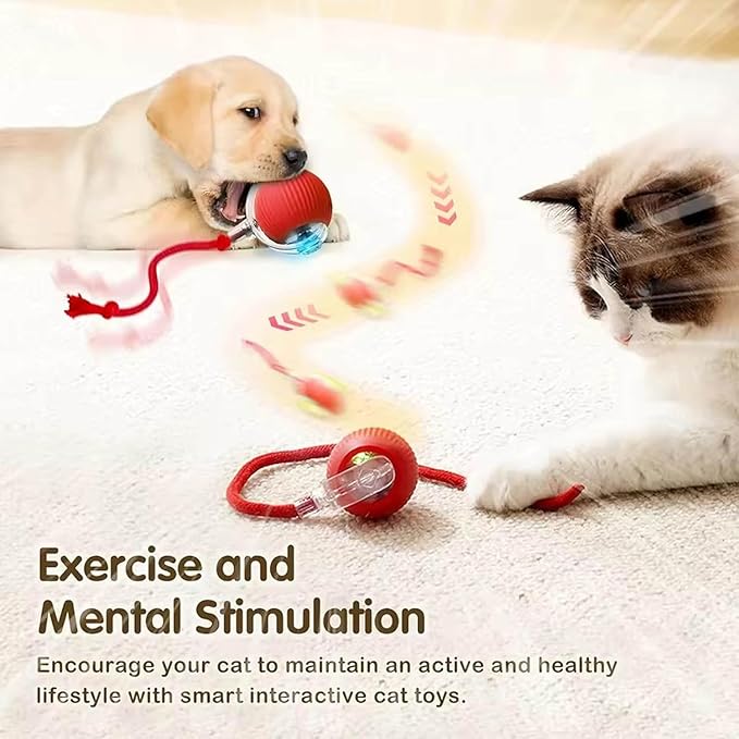 2 PCS Interactive Cat Toy Rolling Ball Chewie Viral Dog Ball, Smart Automatic - Image 4