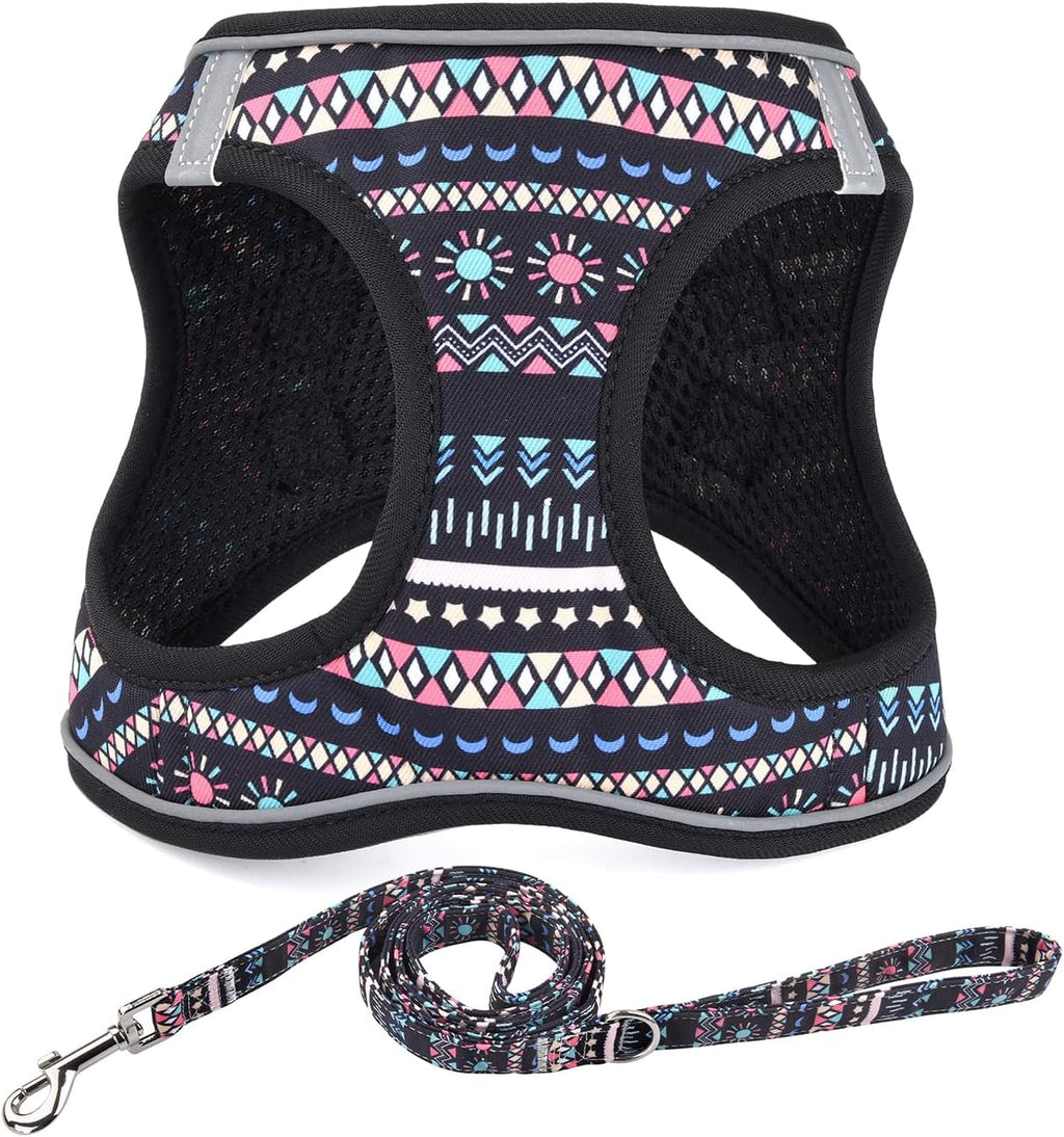 Mihqy Step in Dog Harness and Leash Set, Breathable Mesh, Black Bohemia,XS