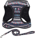 Mihqy Step in Dog Harness and Leash Set, Breathable Mesh, Black Bohemia,XS