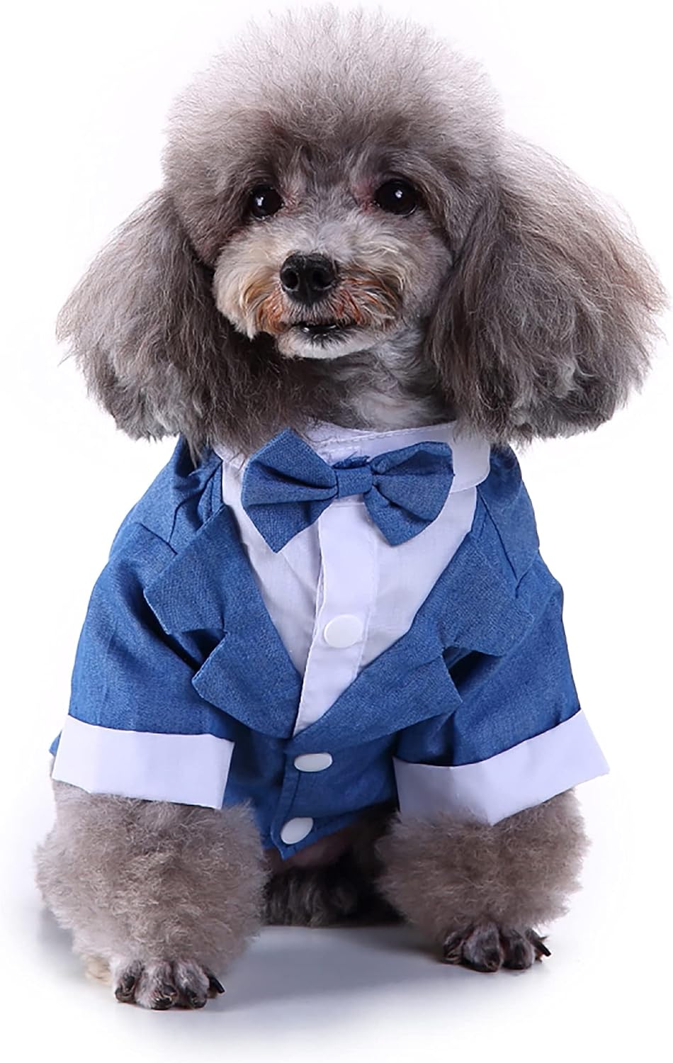 Black, White, Blue Dog Shirts for Wedding, Puppy Tuxedo, Dog Formal Wear, Doggie Tux, Suit and Tie Costume Blue Medium