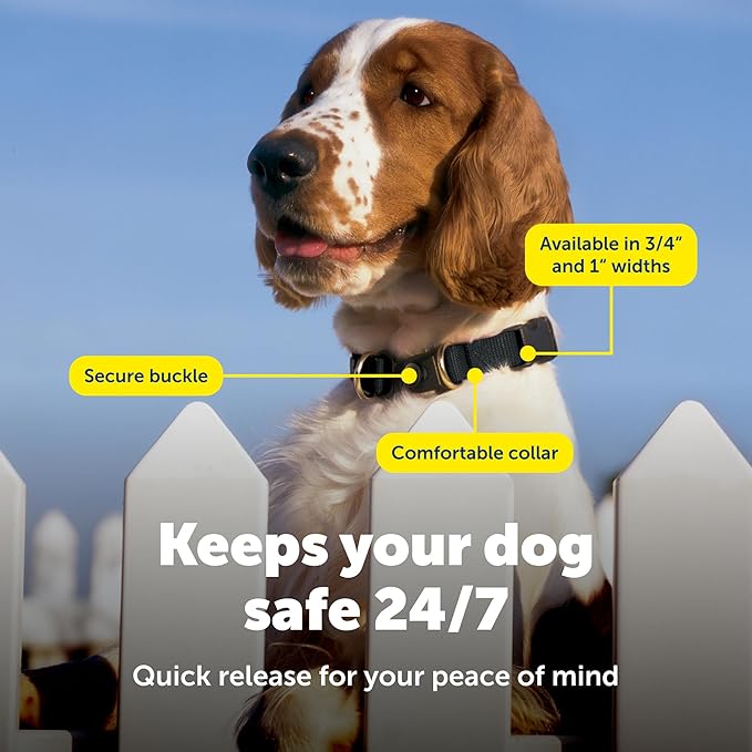 PetSafe KeepSafe Collar for Dogs - Image 4