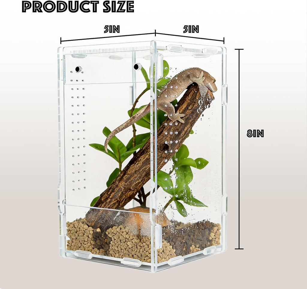 5x5x8 Acrylic Reptile Enclosure - Clear Small Pet Terrarium