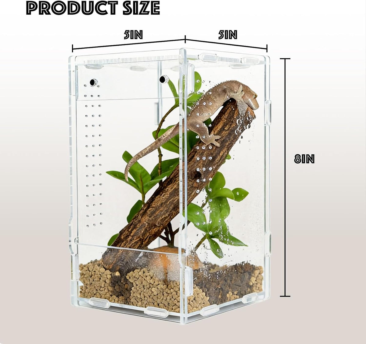 5x5x8 Acrylic Reptile Enclosure - Clear Small Pet Terrarium