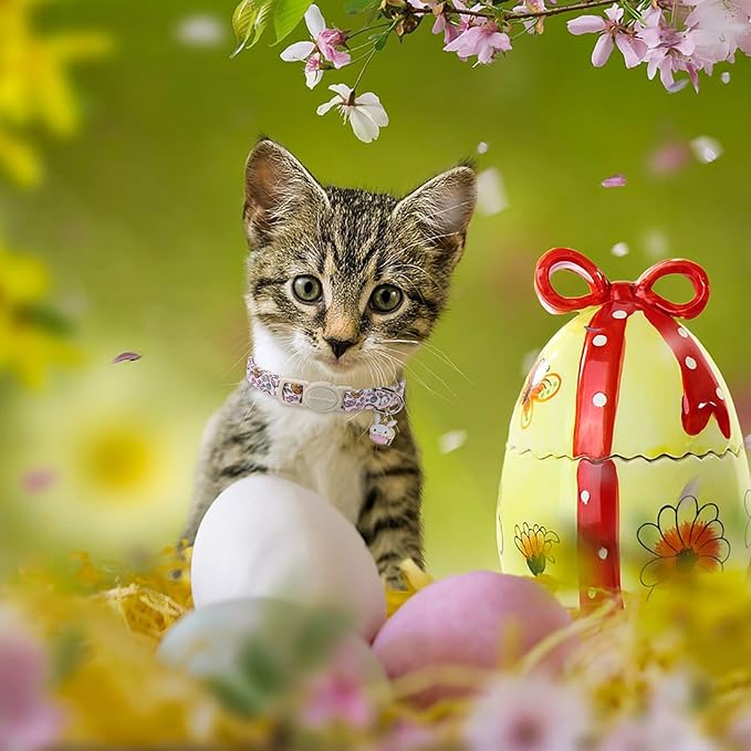 Lionet Paws 2pcs Pack Easter Cotton Cat Collar, Breakaway Buckle - Image 6