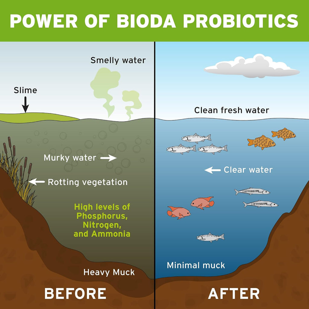 Bioda Pond Clarifier & Muck Cleaner, 12 Count, Keeps Ponds Clear, 6 Months