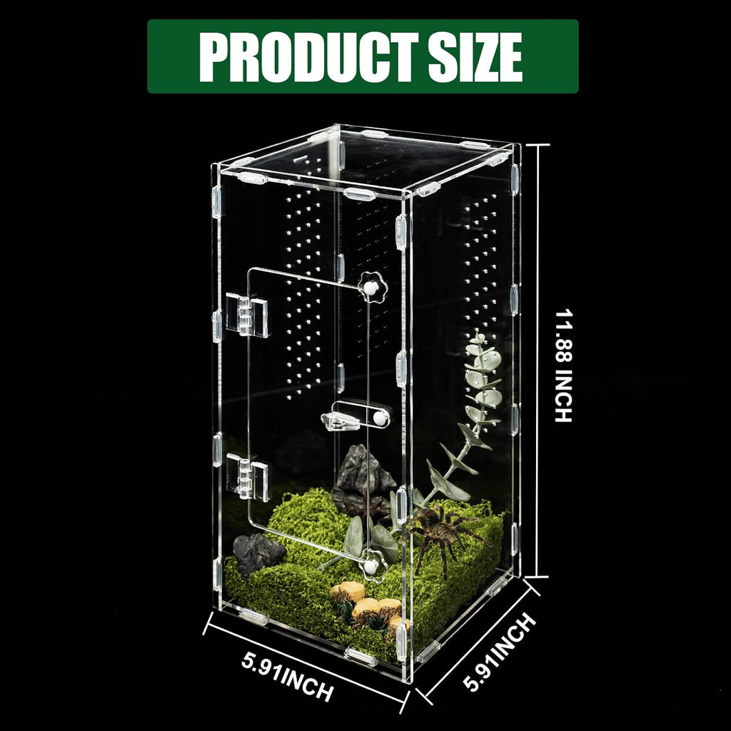 Tall Jumping Spider Enclosure, 6×6×11 in Front Opening Enclosure