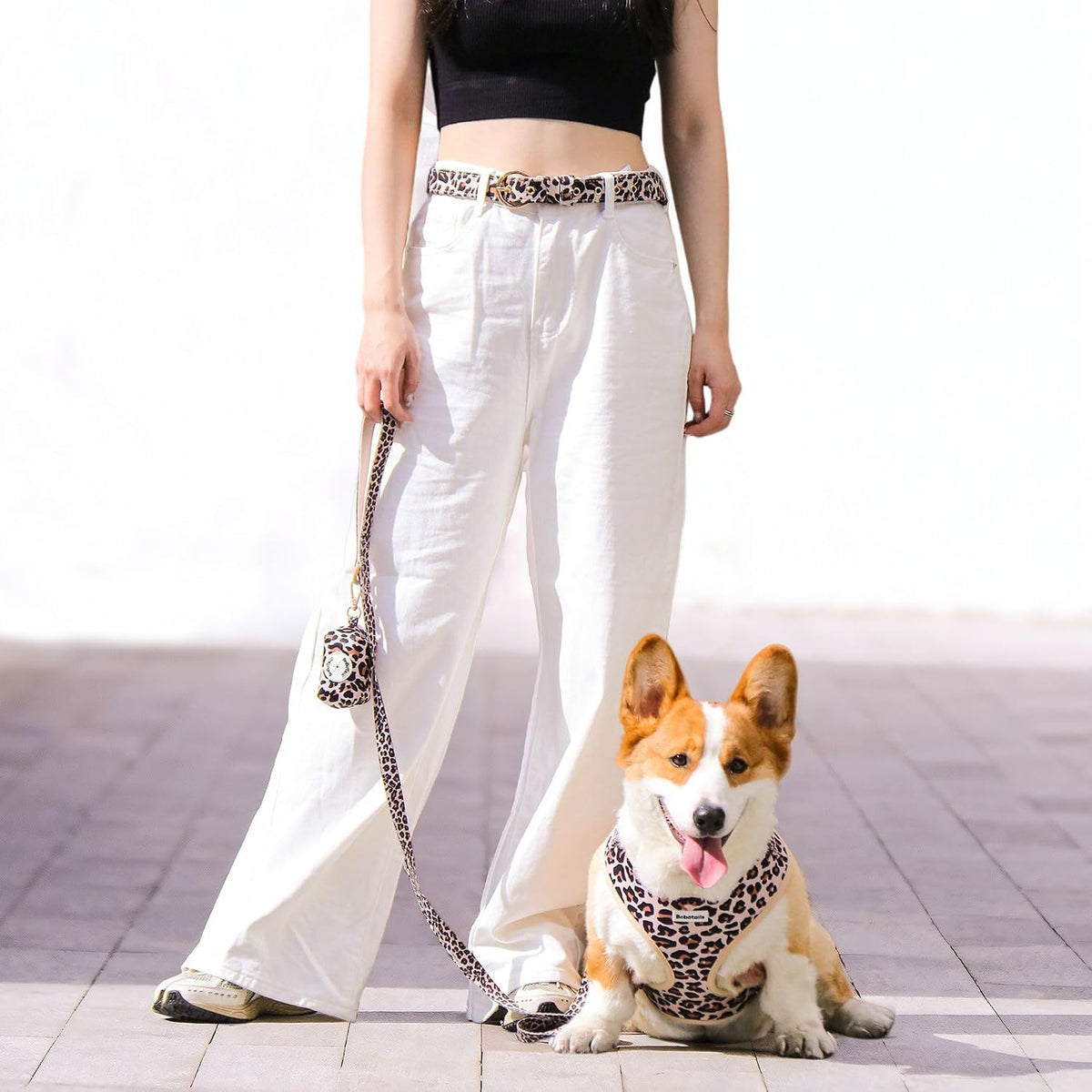 Leopard Dog Harness – Stylish Adjustable No Pull Harness for Small & Medium Dogs, Matching Dog Mom Lifestyle for Beach, Travel & Daily Walks (Leopard, M)