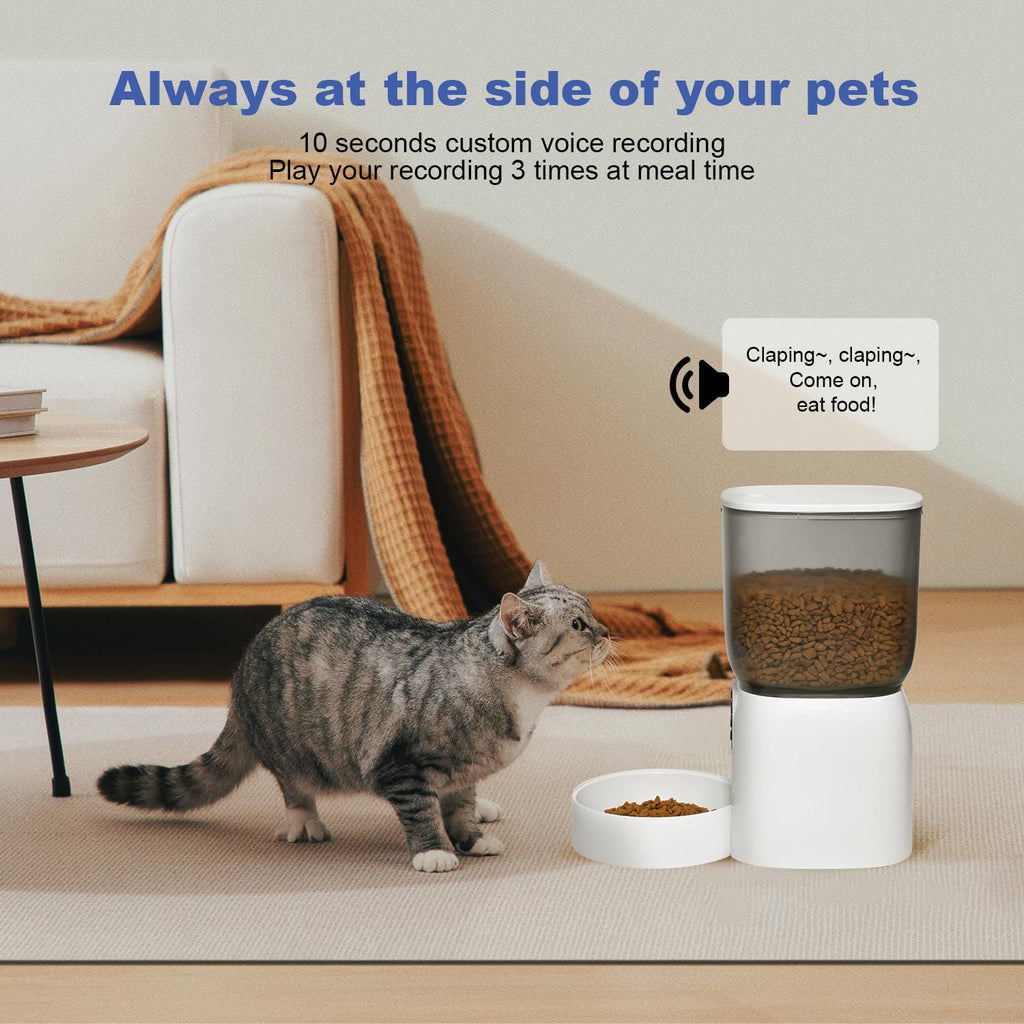 ANDOLL HOME Automatic Cat Feeder, Timed Cat＆Dog Dry Food Dispenser