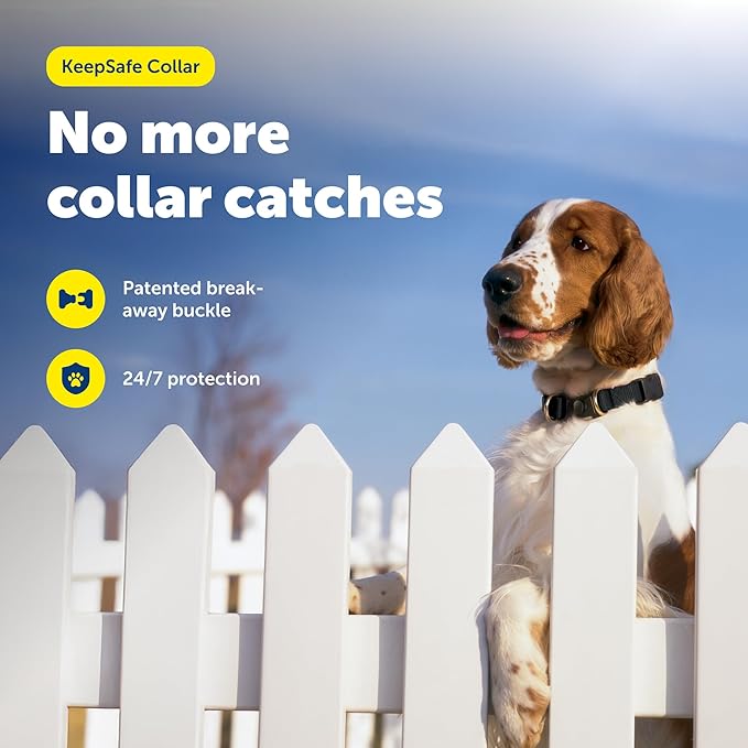 PetSafe KeepSafe Break-Away Safety Collar - Image 2