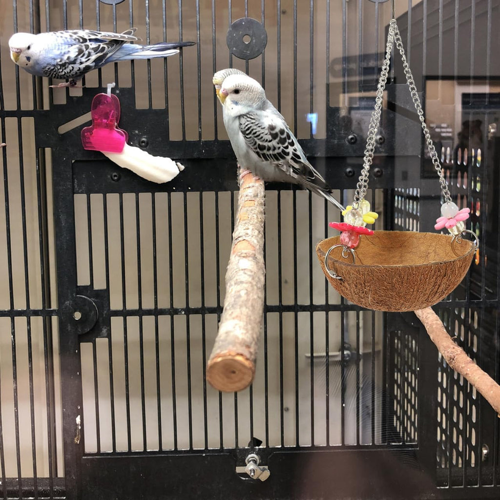 balacoo Coconut Shell Bird Nest Hanging Bird House Natural Cage Accessory for Parrot Finch Canary Roosting Sleeping and Breeding Decorative Aviary Hanging Nest 2 Pack