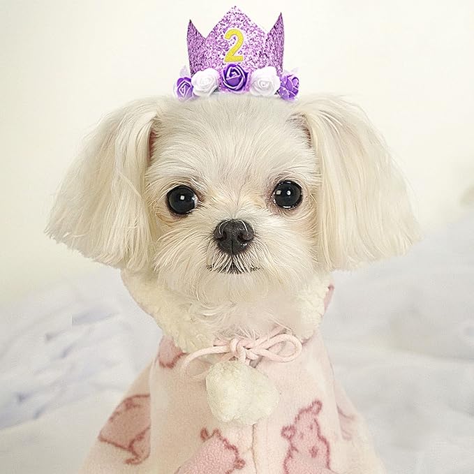 PET SHOW Purple Crown Dog Birthday Party Hat - Image 7