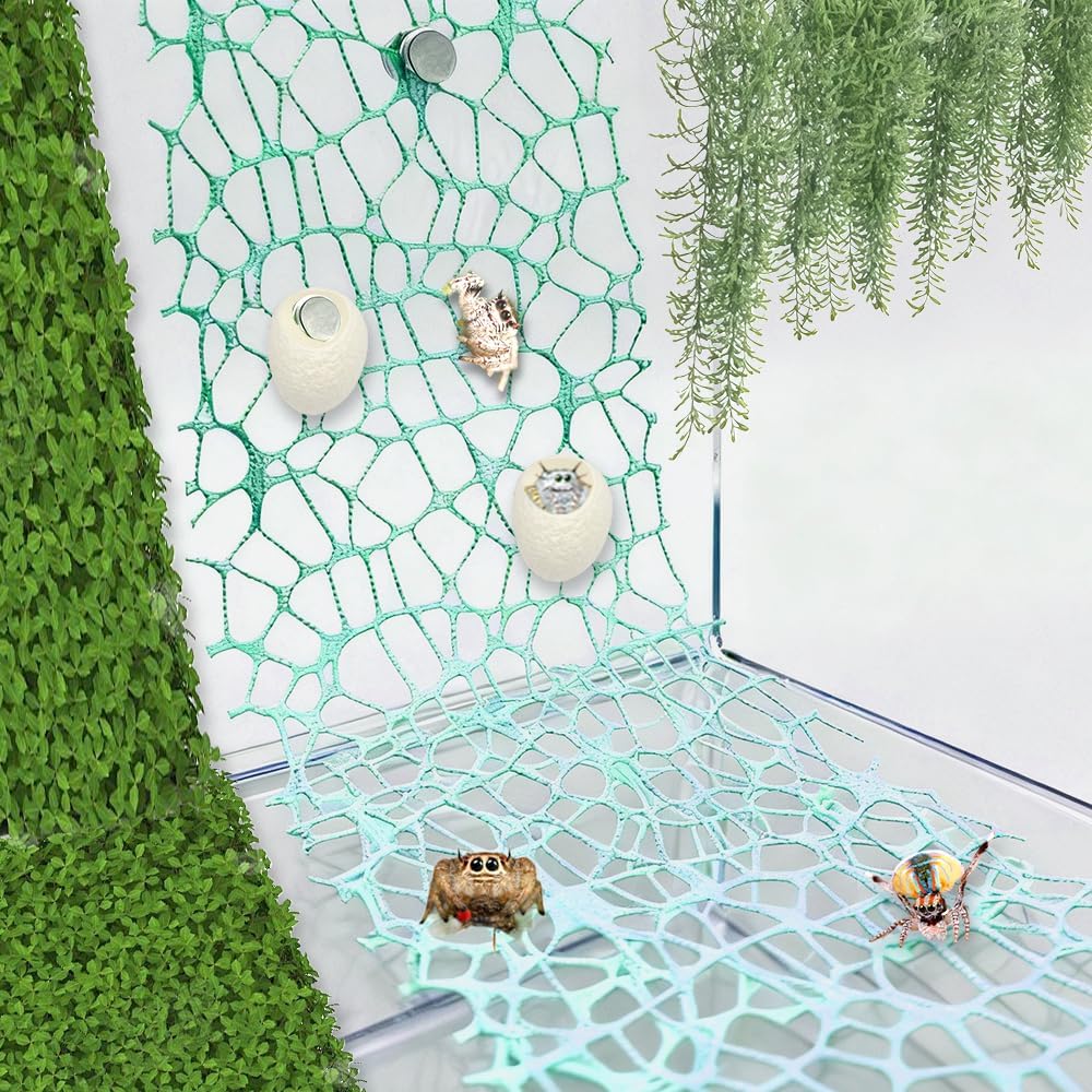 2 Pack Large Size Jumping Spider Netting Enclosure Climbing Toy Habitat Accessories Green Webs with Magnets and Silk Cocoons Nest (9.8 x 177 inches)