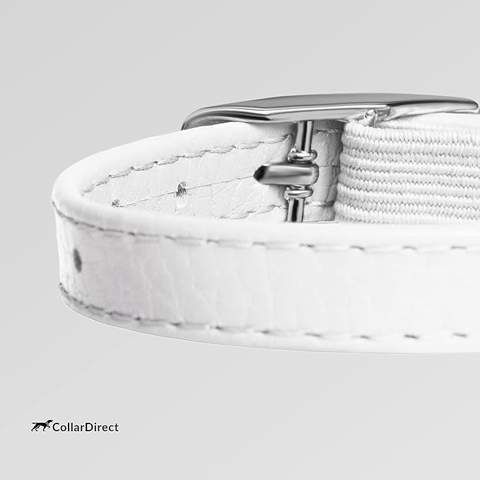 CollarDirect Leather Cat Collar, Kitten Collar - Image 3